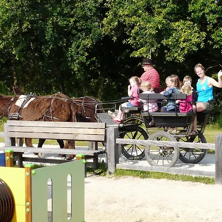 Calme 2 Avec Piscine Proche Du Du Jaunay - Fr-1-783-20 Chalet La Chapelle-Hermier